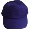 St Dennis Primary Academy Purple Plain Cap