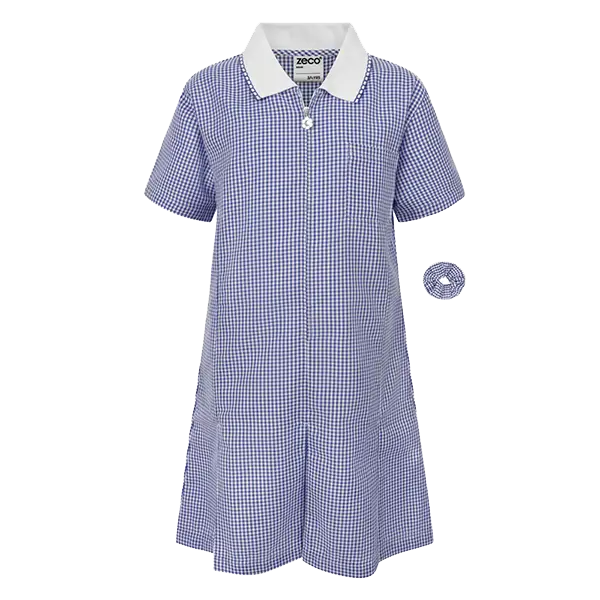 Boscastle Primary School Navy A-Line Gingham Eco-Dress