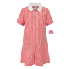 Western Downland School Red A-Line Gingham Eco-Dress