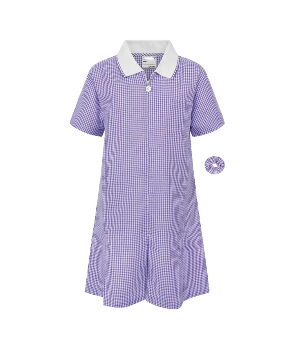 Mary Tavy Purple A-Line Gingham Eco-Dress Front