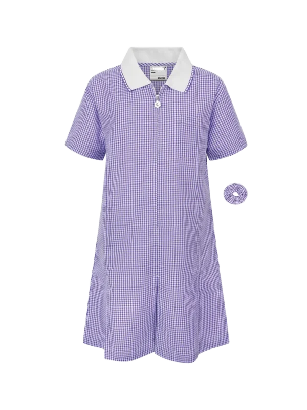 Mary Tavy Purple A-Line Gingham Eco-Dress Front